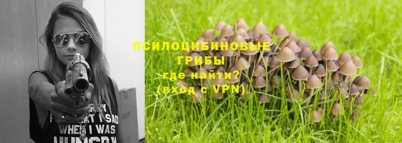 Галлюциногенные грибы Psilocybe  Полярный 